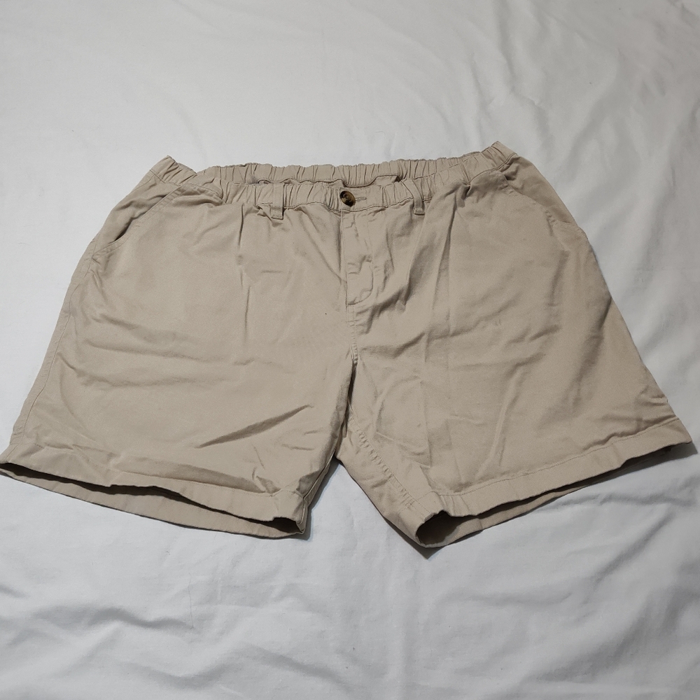 Chubbies Shorts